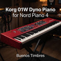 Individual tone Korg 01W Dyno Piano for Nord Piano 4