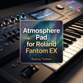 Individual tone Atmosphere Pad for Roland Fantom EX